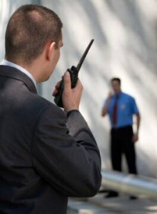 Security Professional